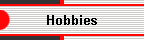 Hobbies